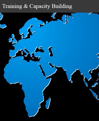 Training and Capacity